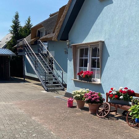Reethaus Vilmnitz - Ferienwohnung Goor Eksteriør bilde